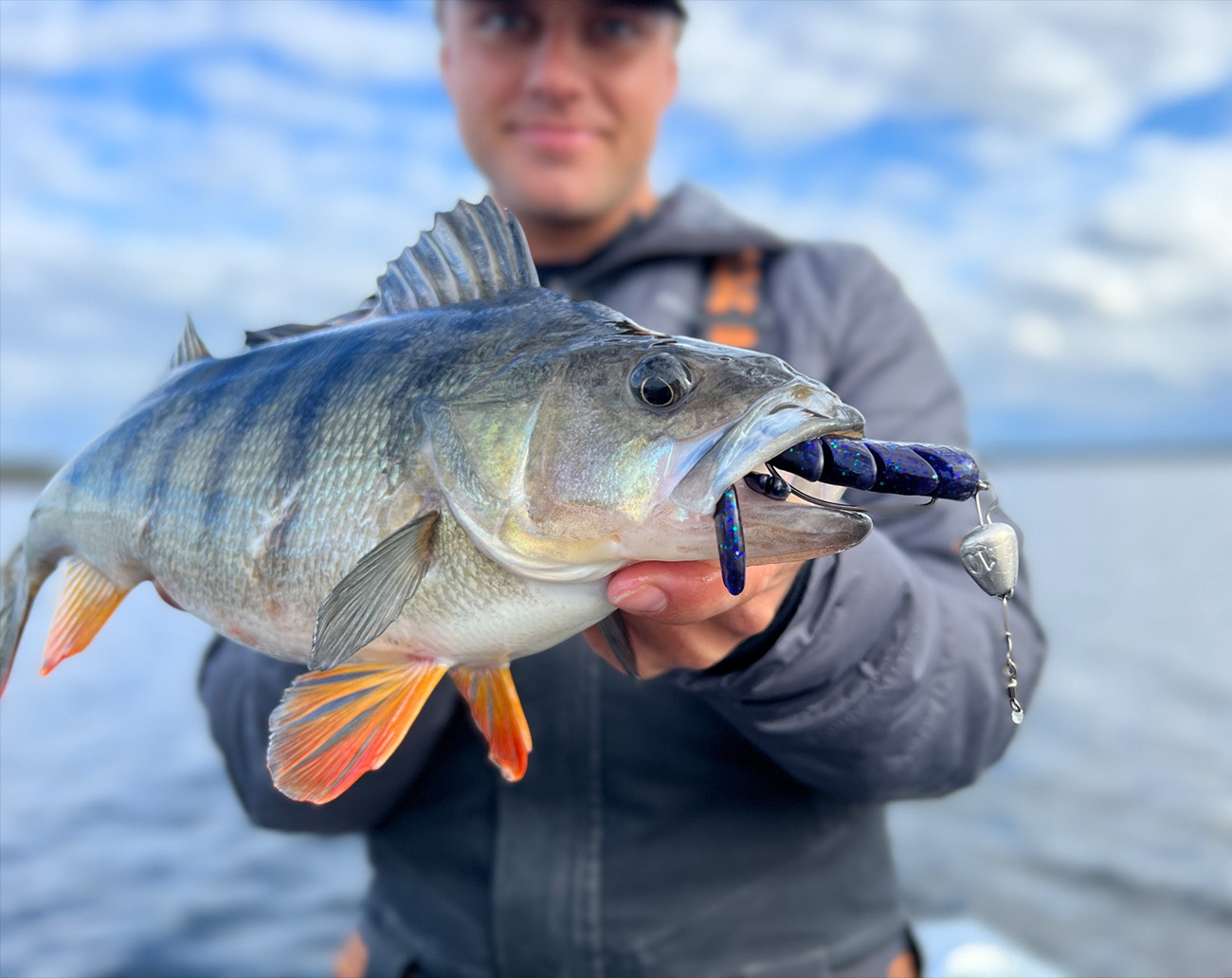 SvartZonker King Craw Jr